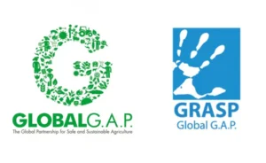 Global GAP and GRASP