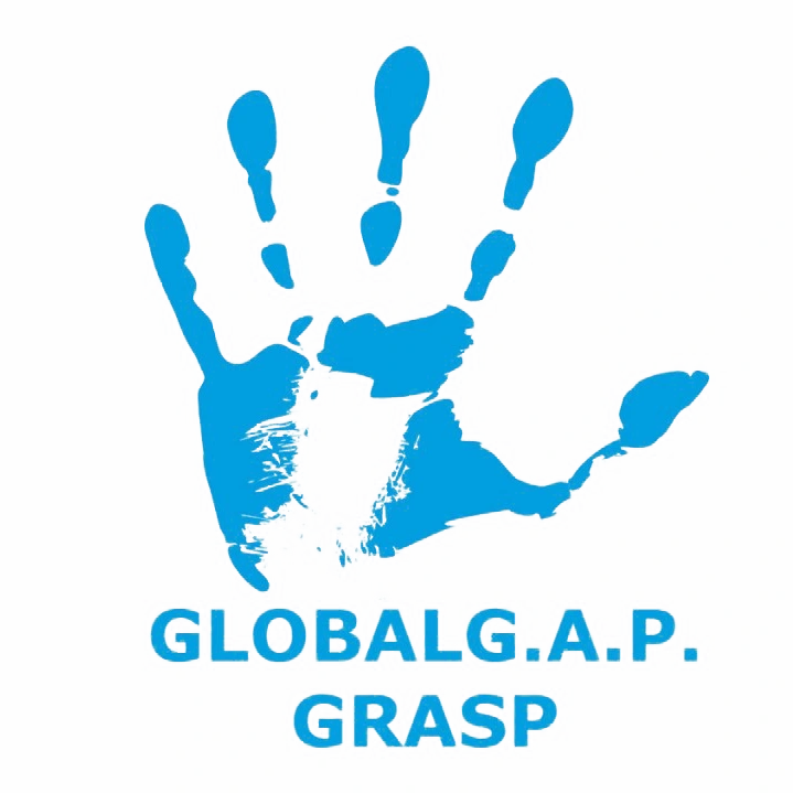 globla_gap_grasp_certification